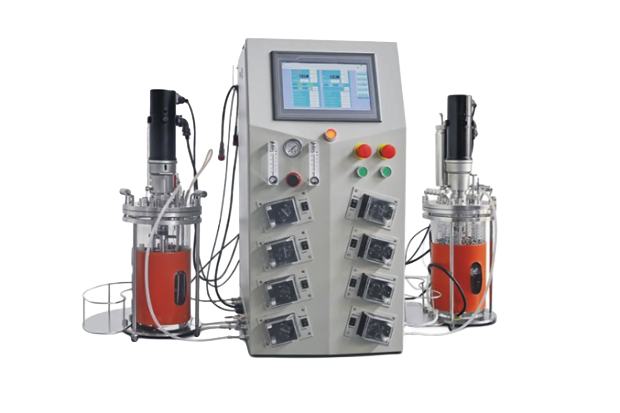 benchto-twin-r-medium