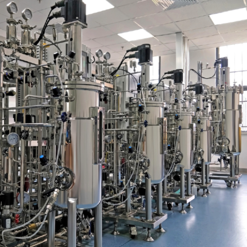 4x500L fermenters in parallel